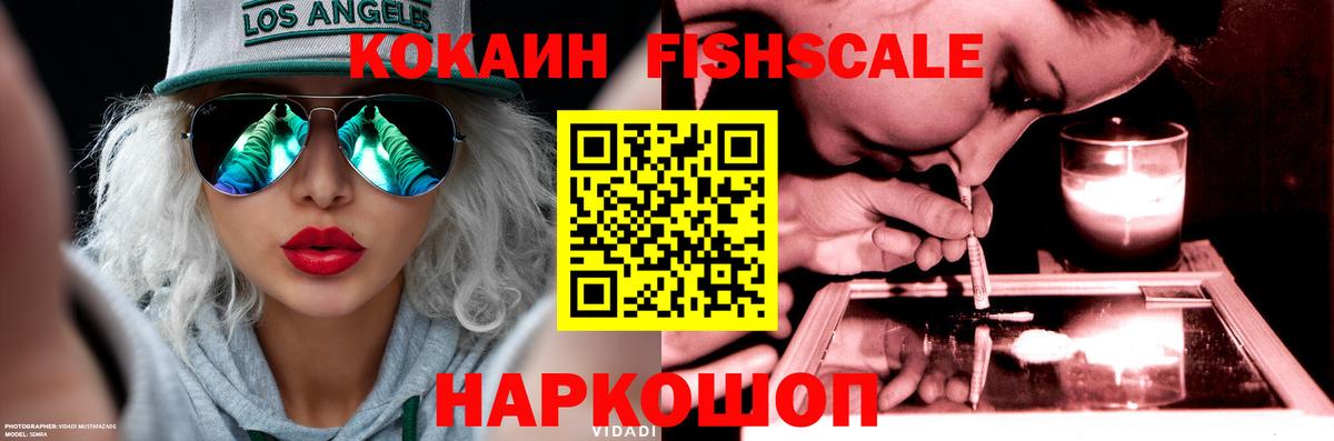 Стерлитамак  купить наркоту  КОКАИН Эквадор  COCAIN  Вход с VPN  Кокаин Fish Scale 