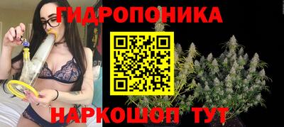 спиды Бузулук