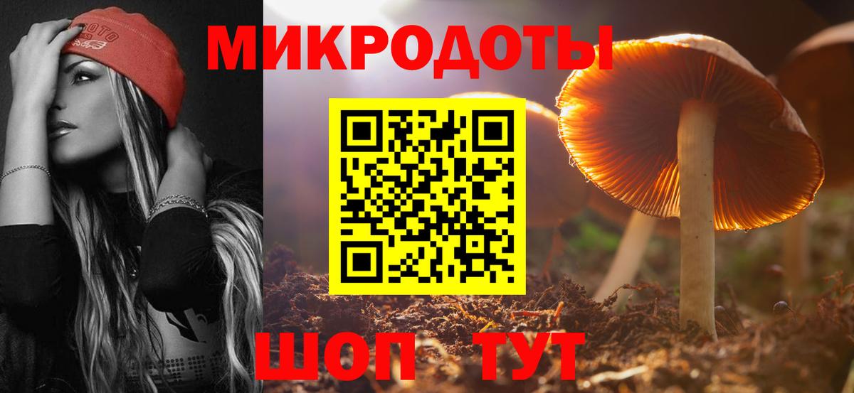 Псилоцибиновые грибы Psilocybe Стерлитамак