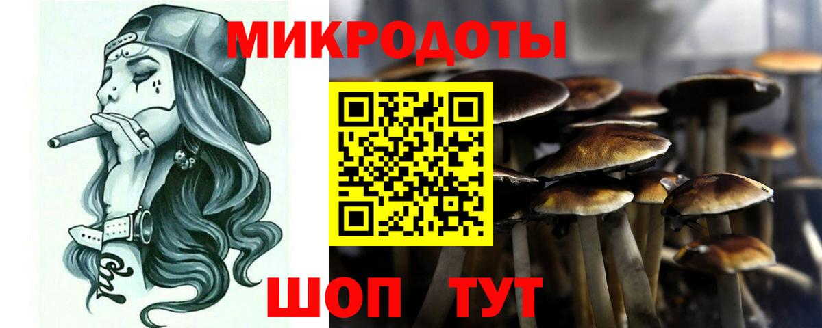 Псилоцибиновые грибы мухоморы  Вход с VPN  Стерлитамак 